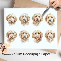 Golden Doodle Collage 1, Vellum Decoupage Paper