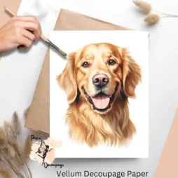 Image of a Golden Retriever. Golden Retriever 1, Vellum Decoupage Paper