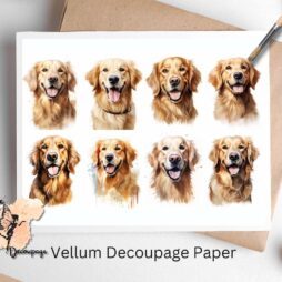 Eight images of Golden Retrievers. Golden Retriever Collage 4, Vellum Decoupage Paper