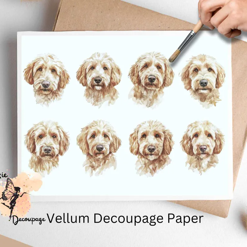 Eight images of Golden Doodles. Golden Doodle Collage 1, Vellum Decoupage Paper