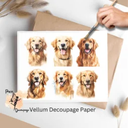 Six images of Golden Retrievers. Golden Retriever Portrait Collage 3, Vellum Decoupage Paper