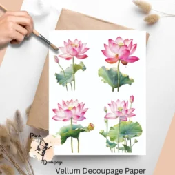 Four images of lotus flowers. Lotus Flower Collage 2, Vellum Decoupage Paper