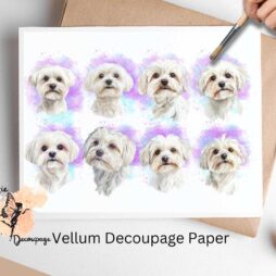 Maltese Collage 1, Vellum Decoupage Paper
