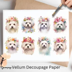 Maltese Portrait Collage 1, Vellum Decoupage Paper