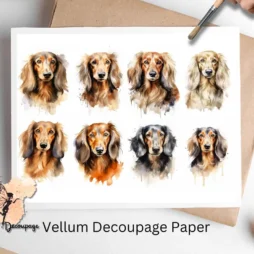 Mixed Longhaired Dachshund Collage 1, Vellum Decoupage Paper