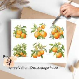 Six images of orange bundles. Oranges Collage 1, Vellum Decoupage Paper