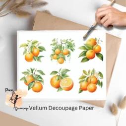 Six images of orange bundles. Oranges Collage 2, Vellum Decoupage Paper