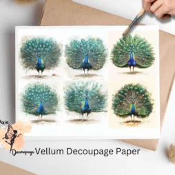 Six images of peacocks. Peacock Collage 1, Vellum Decoupage Paper