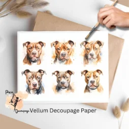 Pitbull Collage 2, Vellum Decoupage Paper