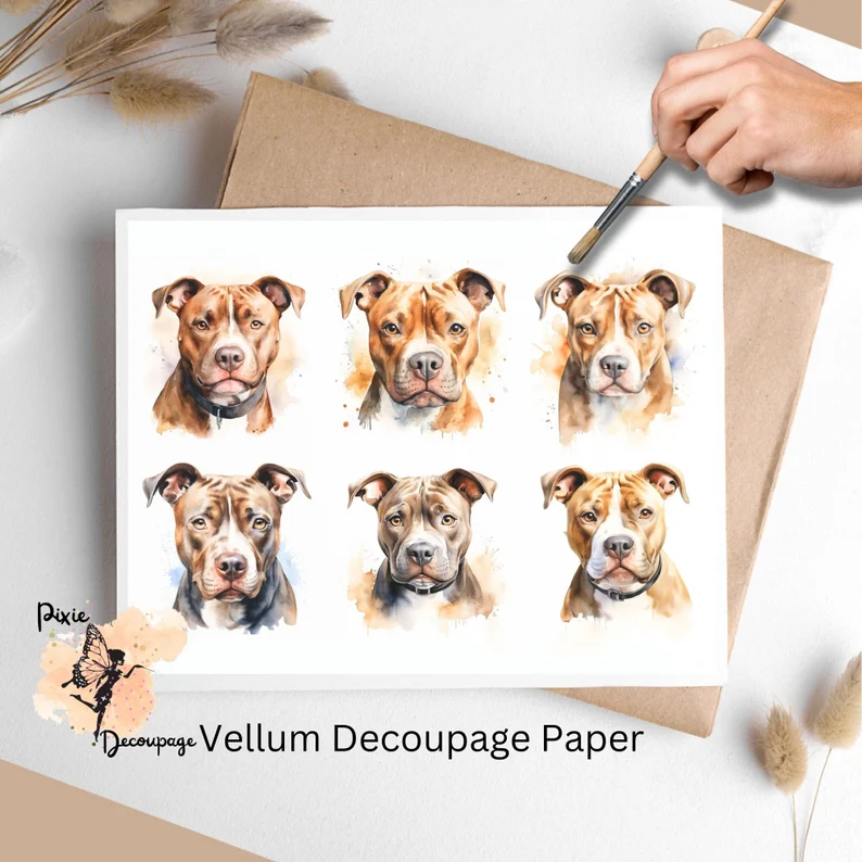 Pitbull Collage 2, Vellum Decoupage Paper