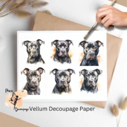 Pitbull Collage 3, Vellum Decoupage Paper