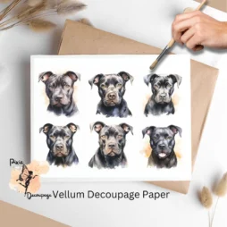 Pitbull Collage 4, Vellum Decoupage Paper