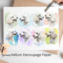 Eight images of beautiful white poodles. White Poodle Collage 2, Vellum Decoupage Paper