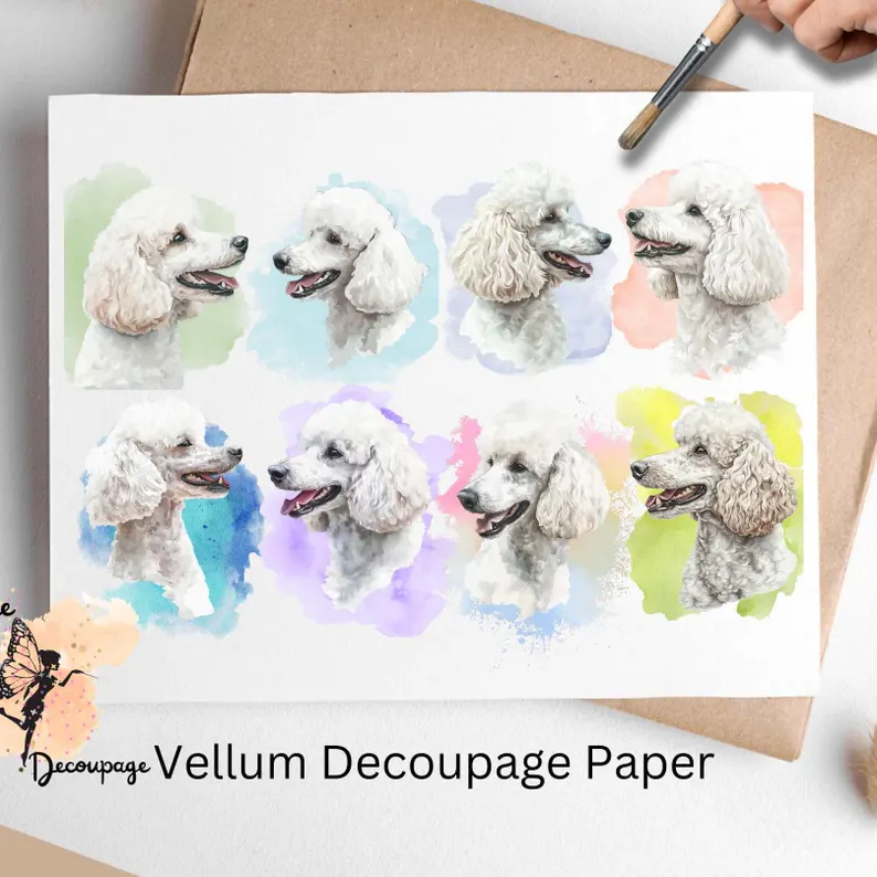 Eight images of beautiful white poodles. White Poodle Collage 2, Vellum Decoupage Paper
