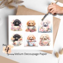 Six images of puppy poodles in teacups. Poodle in Tea Cup Collage 1, Vellum Decoupage Paper