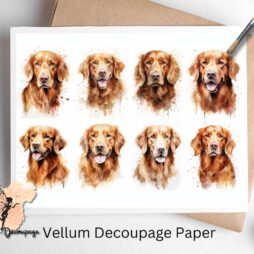 Eight images of Golden Retrievers, Red Golden Retriever Collage 1, Vellum Decoupage Paper