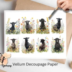 Black Sheep in Flowers Collage 1, Vellum Decoupage Paper