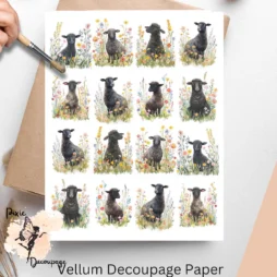 Black Sheep in Flowers Collage 2, Vellum Decoupage Paper