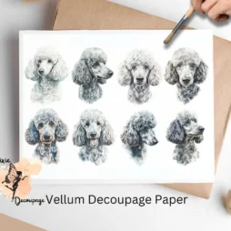 Eight images of poodles. Silver Poodle Collage 1, Vellum Decoupage Paper
