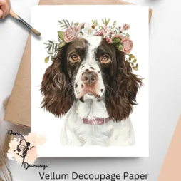 English Springer Spaniel Portrait 1, Vellum Decoupage Paper