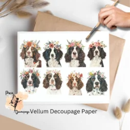 Eight images of springer spaniel and flowers. English Springer Spaniel Portrait Collage 1, Vellum Decoupage Paper