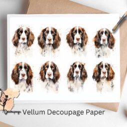 Eight images of Springer Spaniels. English Springer Collage 1, Vellum Decoupage Paper