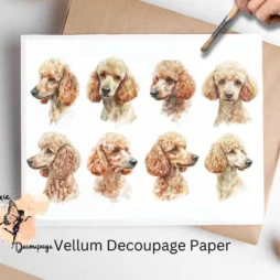 Eight images of poodles. Tan Poodle Collage 1, Vellum Decoupage Paper