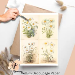 Four images of bunches of daisies. Vintage Daisies Collage 1, Vellum Decoupage Paper