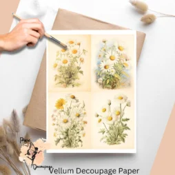 Four images of daisies. Vintage Daisies Collage 2, Vellum Decoupage Paper