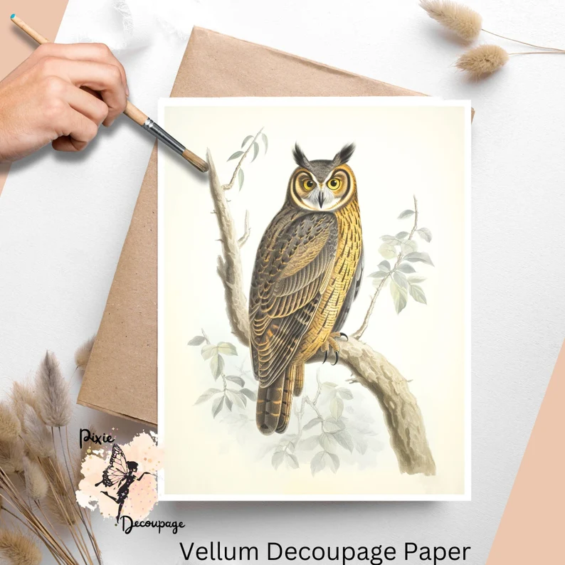 Image of an owl. Vintage Owl 1, Vellum Decoupage Paper