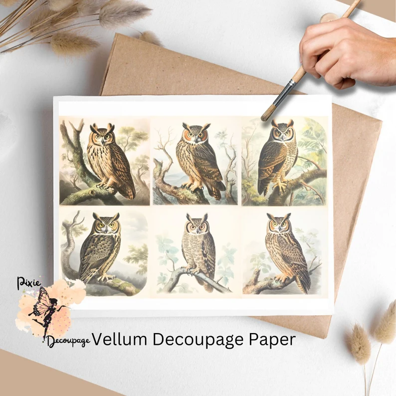 Six images of owls. Vintage Owl Collage 1, Vellum Decoupage Paper