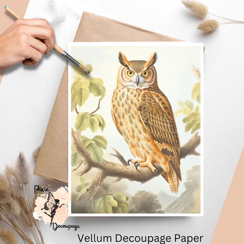 Image of an owl. Vintage Owl 2, Vellum Decoupage Paper
