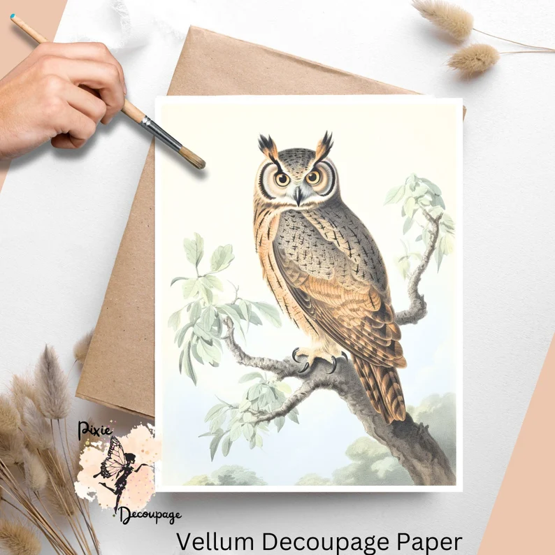 Image of an owl. Vintage Owl 4, Vellum Decoupage Paper