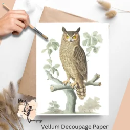 Image of an owl. Vintage Owl 5, Vellum Decoupage Paper