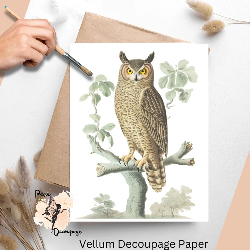 Image of an owl. Vintage Owl 5, Vellum Decoupage Paper