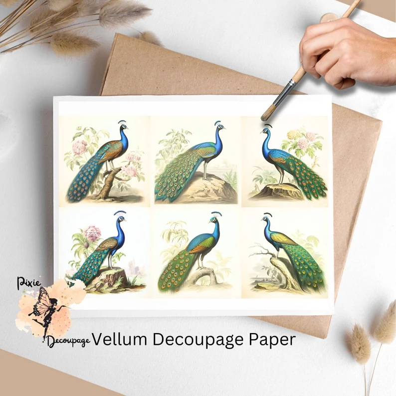 Six images of peacocks. Vintage Peacock Collage 1, Vellum Decoupage Paper