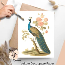 Image of a peacock. Vintage Peacock 1, Vellum Decoupage Paper