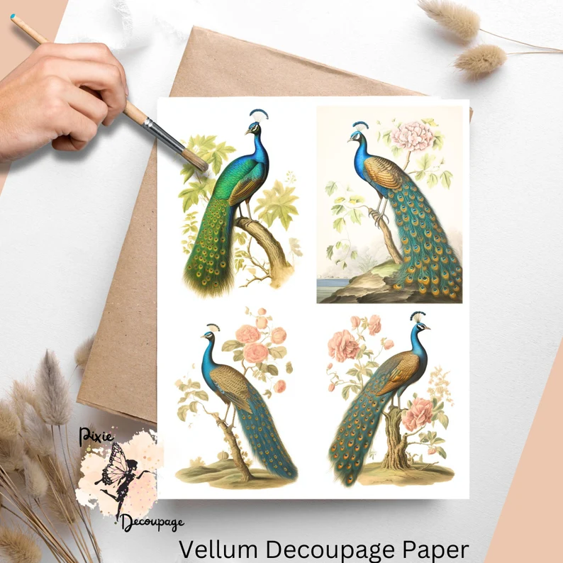 Four images of peacocks. Vintage Peacock Collage 3, Vellum Decoupage Paper