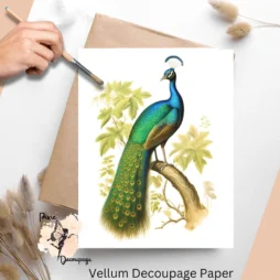 Image of a peacock. Vintage Peacock 3, Vellum Decoupage Paper