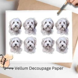 White Doodle Collage 1, Vellum Decoupage Paper