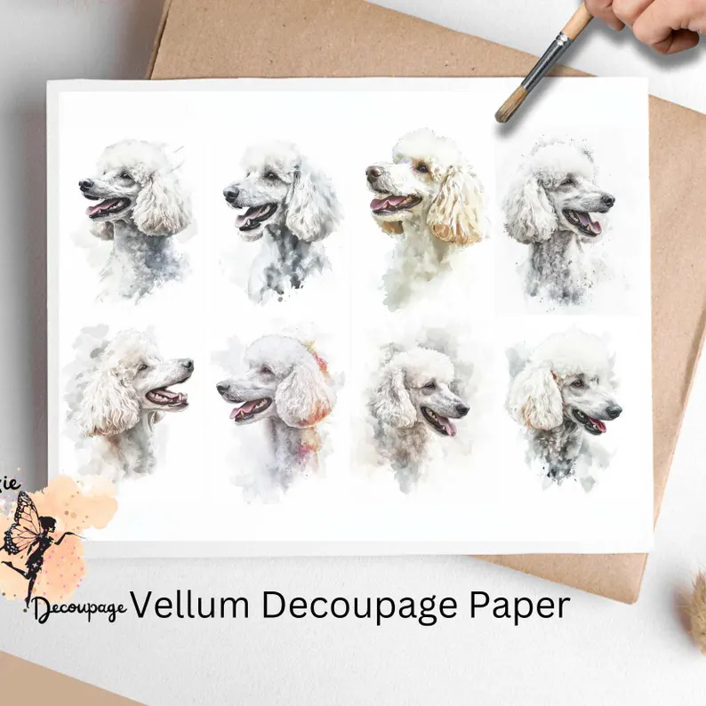 Eight images of beautiful white poodles. White Poodle Collage 1, Vellum Decoupage Paper