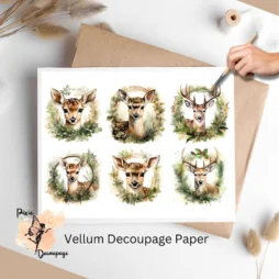 Six circular images of faws,