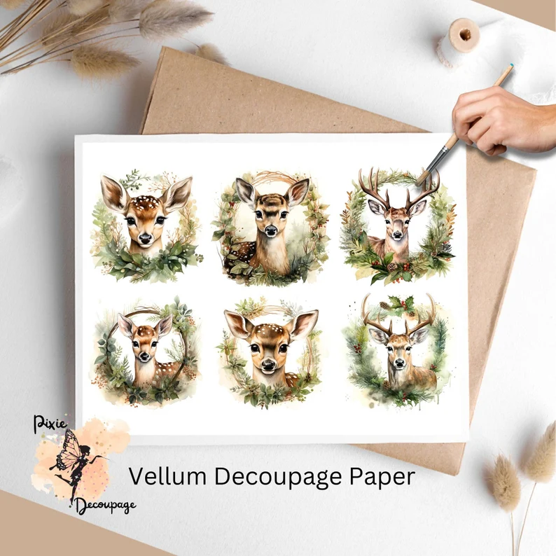 Six circular images of faws,