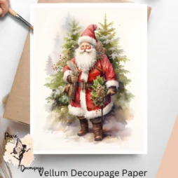 Image of Santa Claus with greenery.