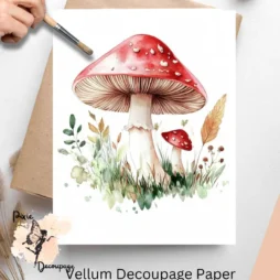 Image of mushrooms.