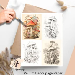 Four images of mushrooms for decoupage.