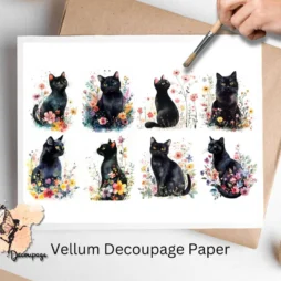 Eight images of black cats.