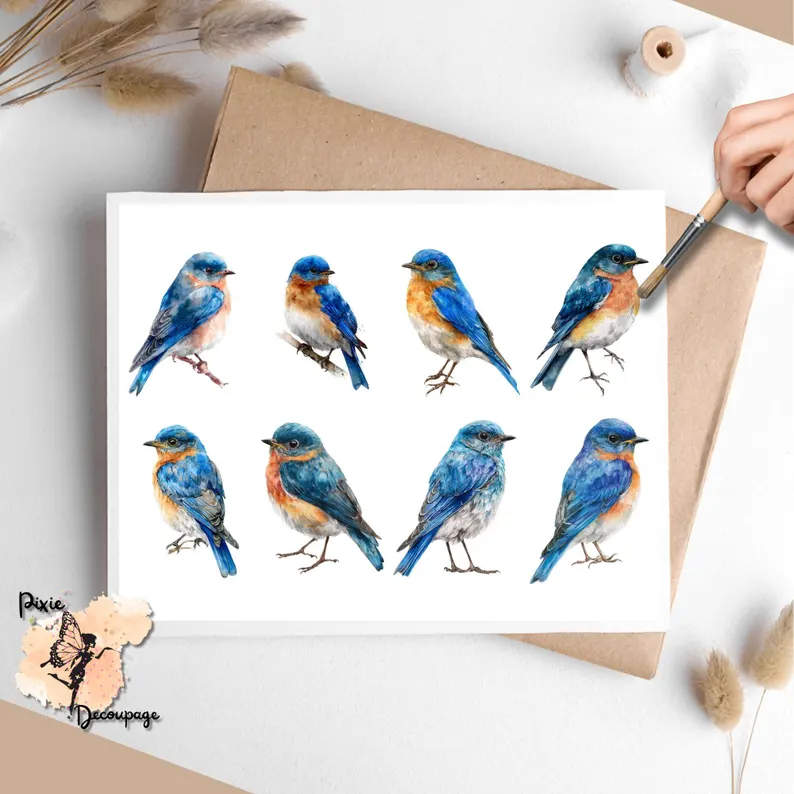 Eight images of bluebirds.