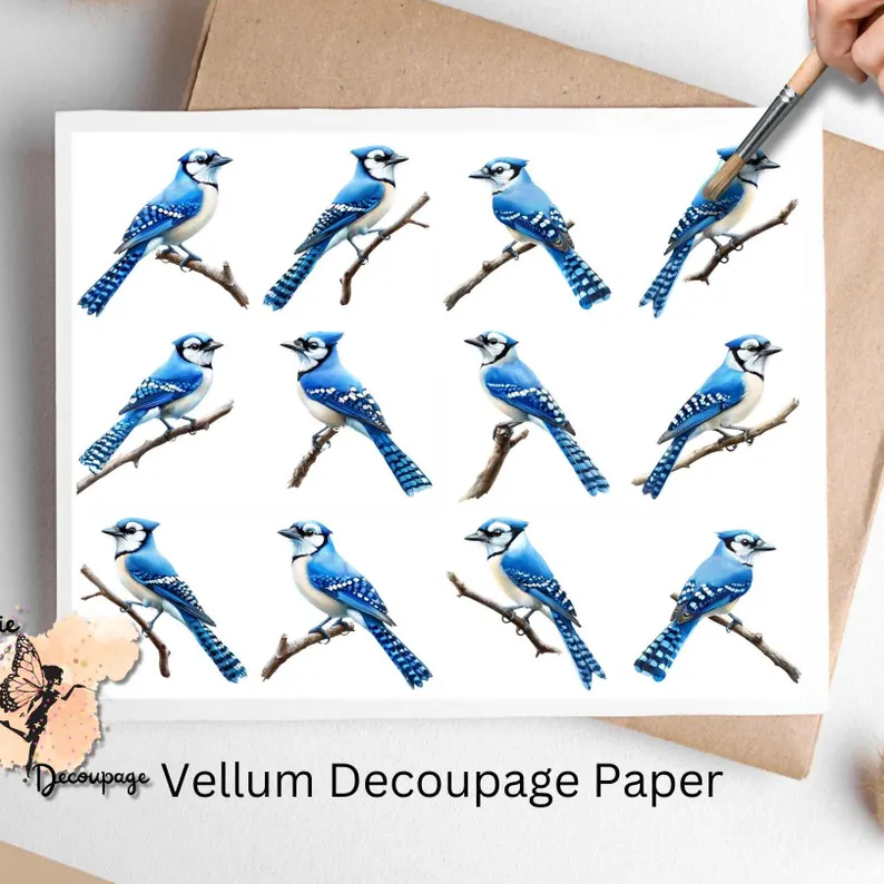 Twelve images of blue jays.