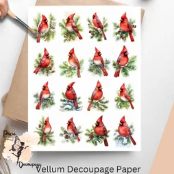 Sixteen images of cardinals.